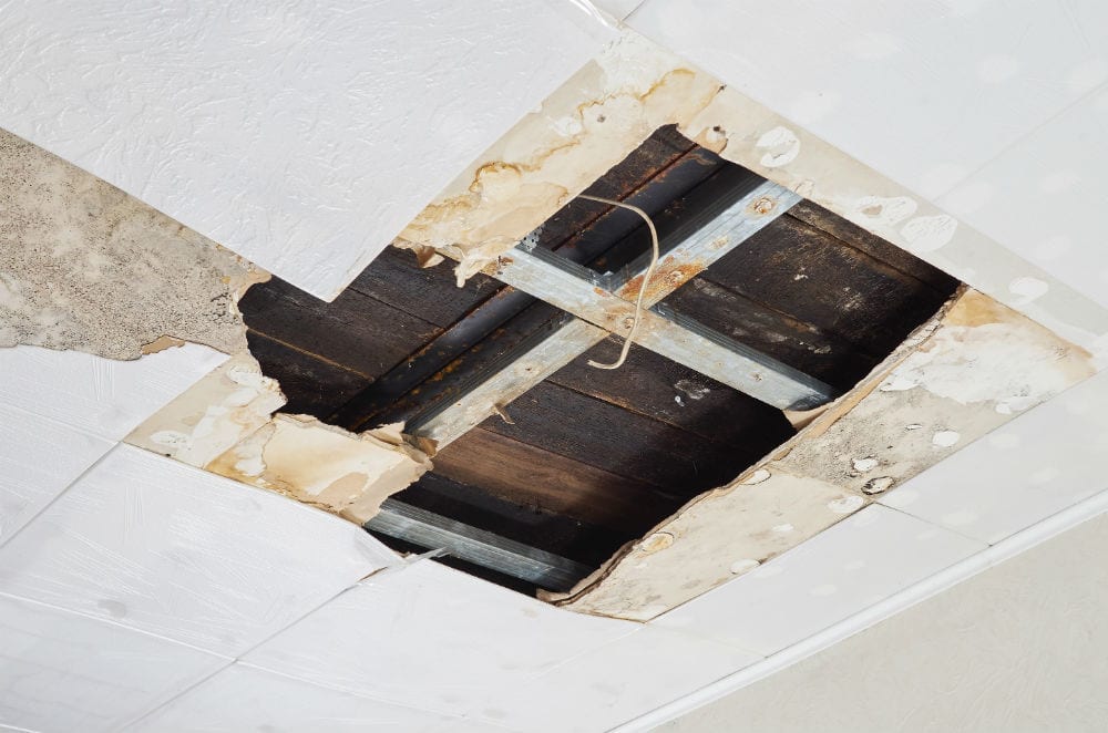 Ceiling Water Damage From A Leak? Here's What To Do In 5 Steps